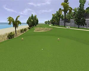 P3ProSwing Level IX Course Pack – Perpetual