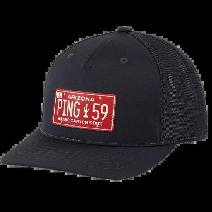 Ping License Plate Hat